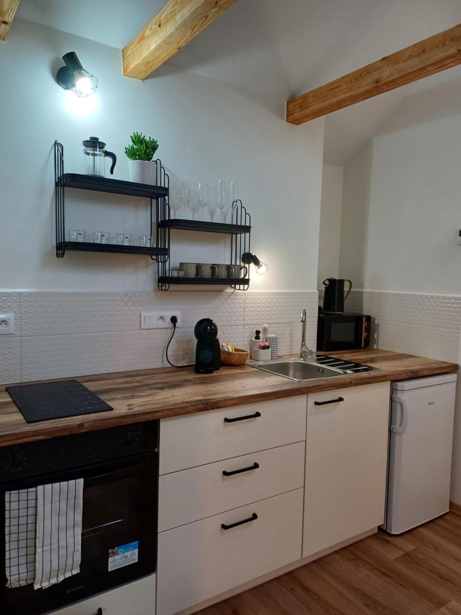 Loft Apartment Karlsbad Exterior foto